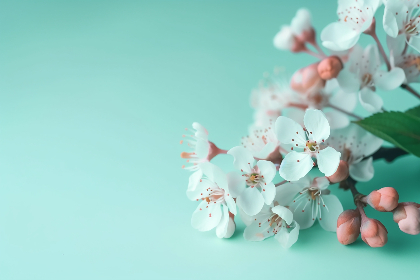 赌现金即时服务在线上娱乐中的应用趋势与合规要点