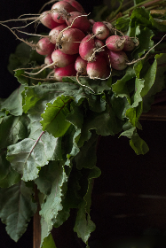 走地皇娱乐：让你在游戏中尽情释放压力
