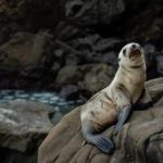 CCTV5体育频道今日精彩赛事直播全览 s1z511c3on