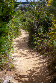 CCTV5体育频道高清直播全程精彩赛事不容错过