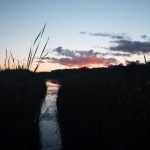 赛狗比赛规则详解:新手必读的赛事指南 z11s5h9bq8