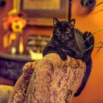 走地皇娱乐带你领略不一样的游戏世界 z461m