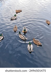 《杀八方》卫视直播火爆开启,敬请锁定观看精彩剧情 《杀八方》卫视直播火爆开启,敬请锁定观看精彩剧情