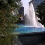 《武林笼中对》独家直播:热血格斗巅峰对决 l14fkr