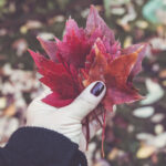 《武林笼中对》今晚热血开播,巅峰对决引爆格斗之夜 mnidkin39n