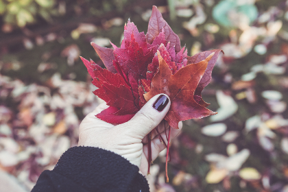 《武林笼中对》今晚热血开播,巅峰对决引爆格斗之夜 《武林笼中对》今晚热血开播,巅峰对决引爆格斗之夜